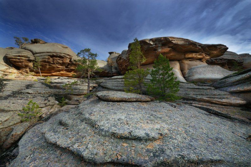 Птица камень фото превью