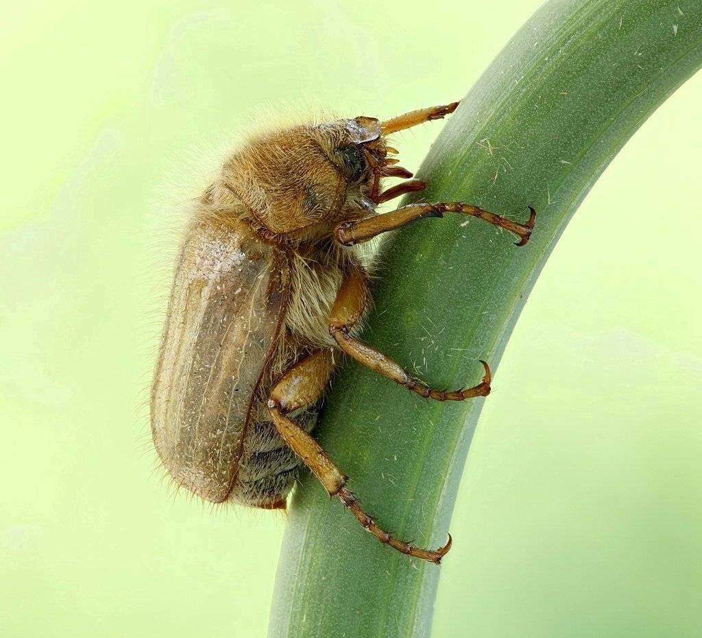 , Сергей Таланов