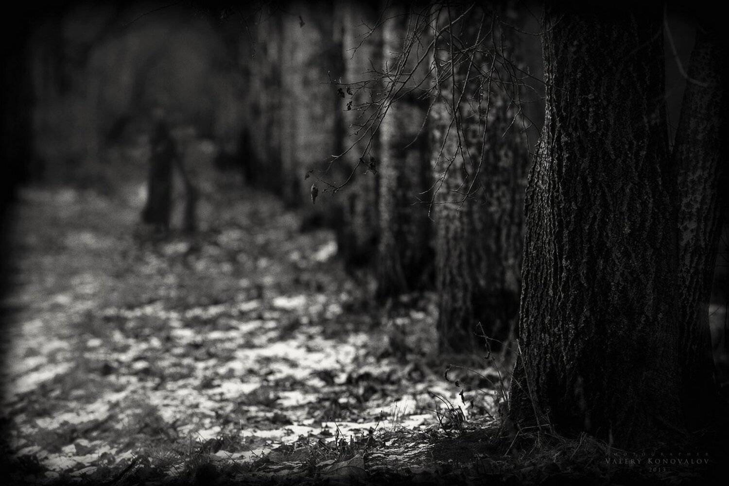 , Валерий Коновалов