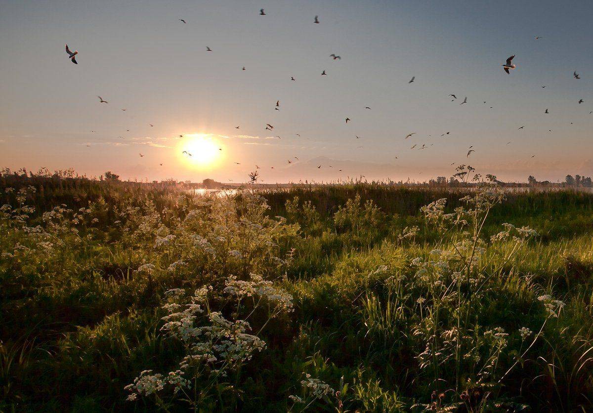 купавна., бисерово., Андрей Леонидович