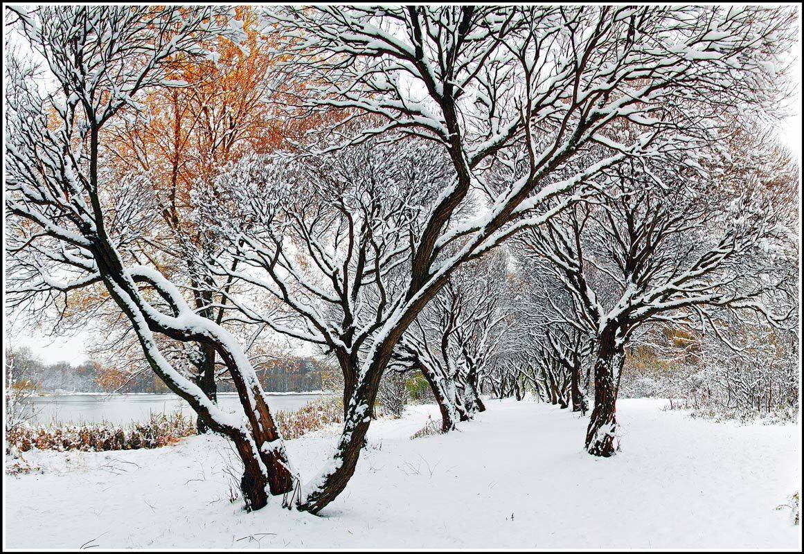 , Лихарев Александр