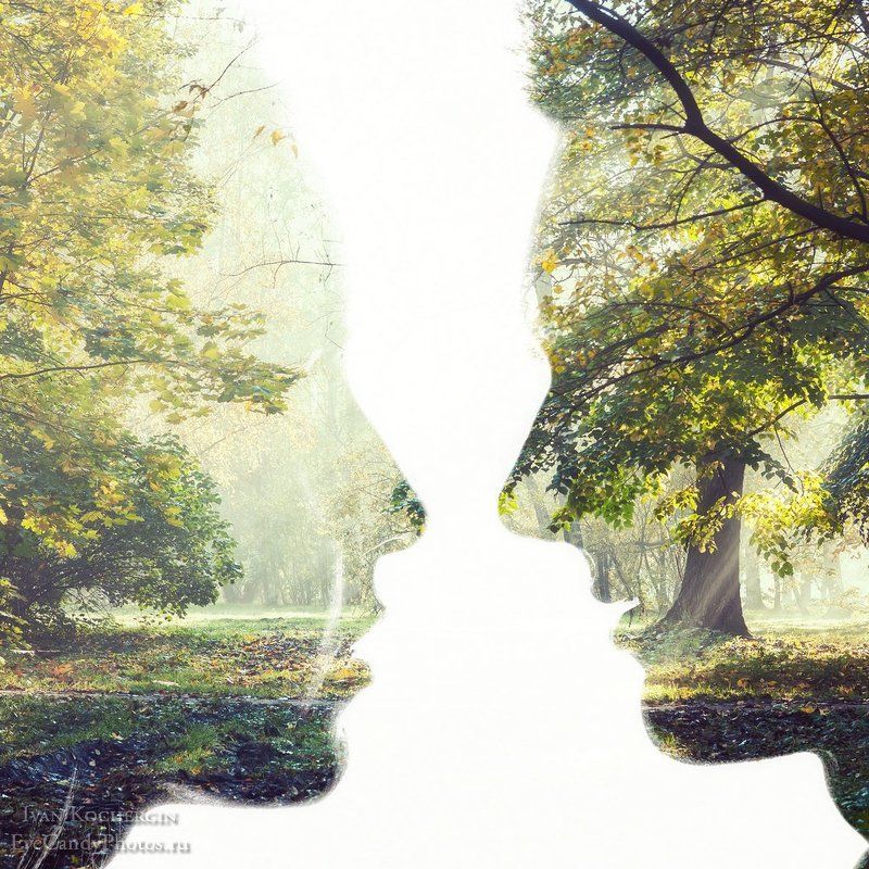 Two of a kind фото превью