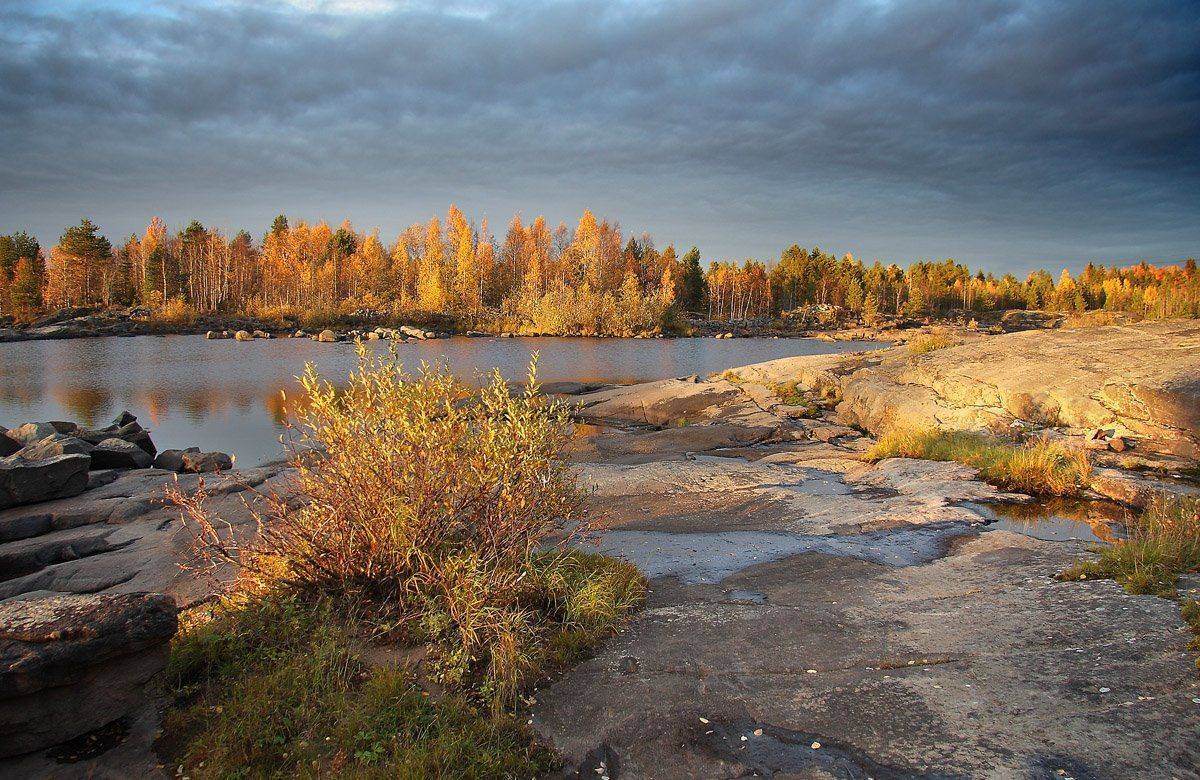 , Александр Коротков