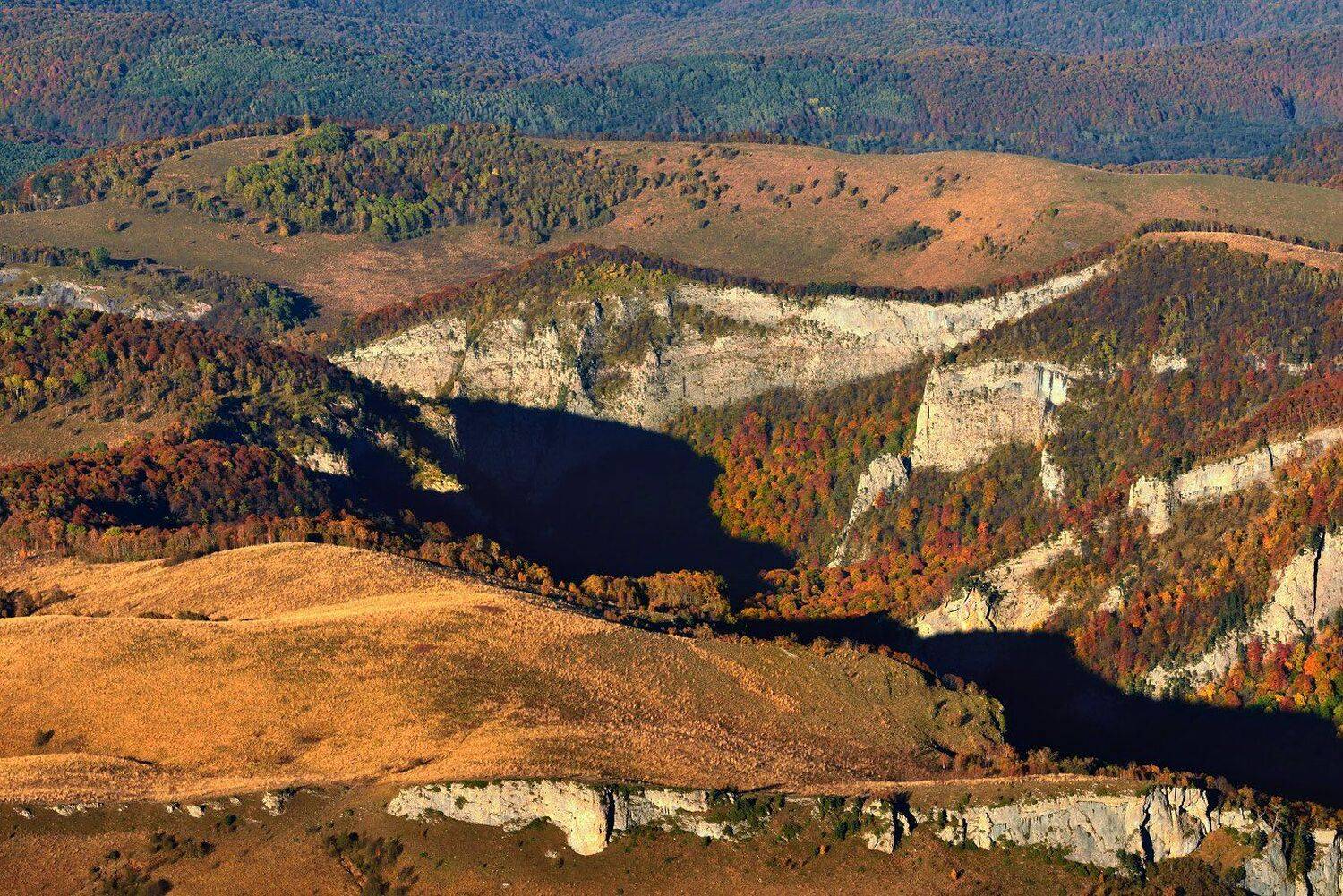 , Максим Евдокимов