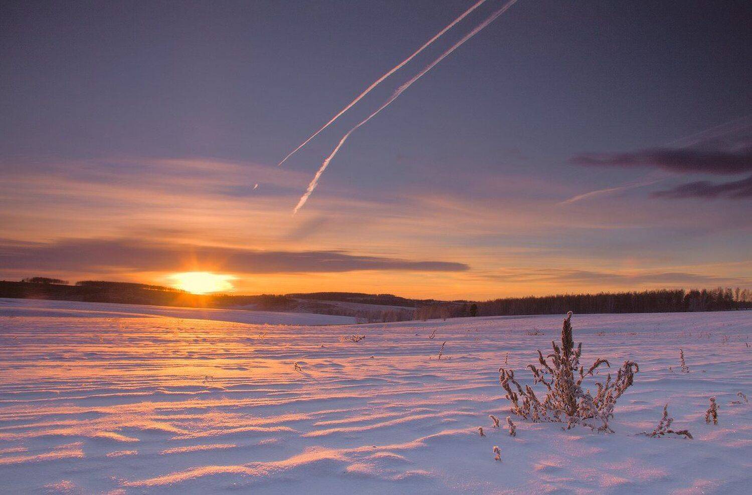 , Николай Морский