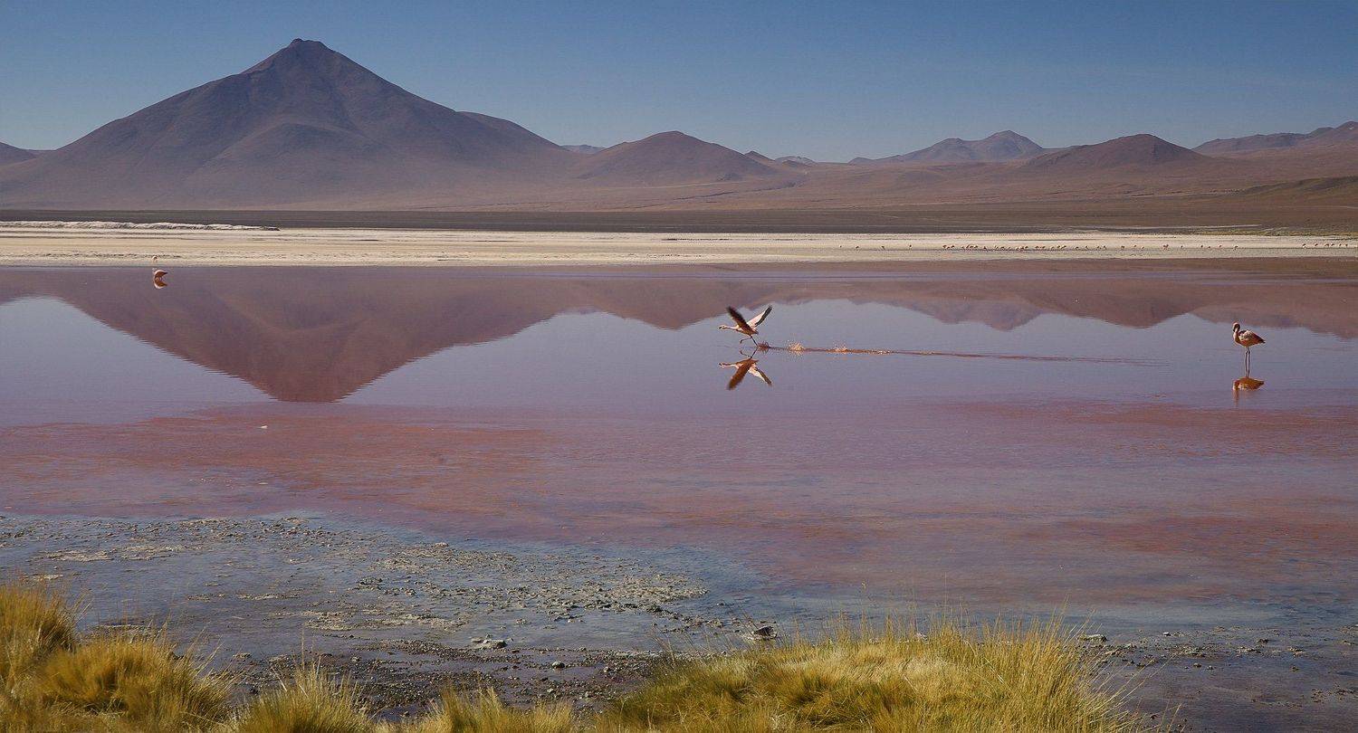 bolivia, боливия, mc, М.