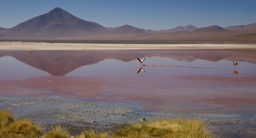 О романтике и розовом  цвете