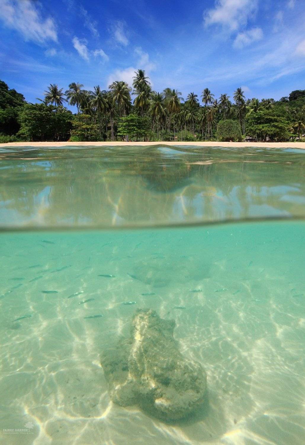 , Запороженко Виталий и Юлия