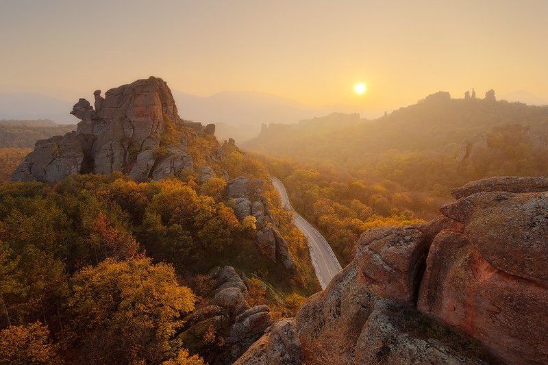 Golden rays фото превью