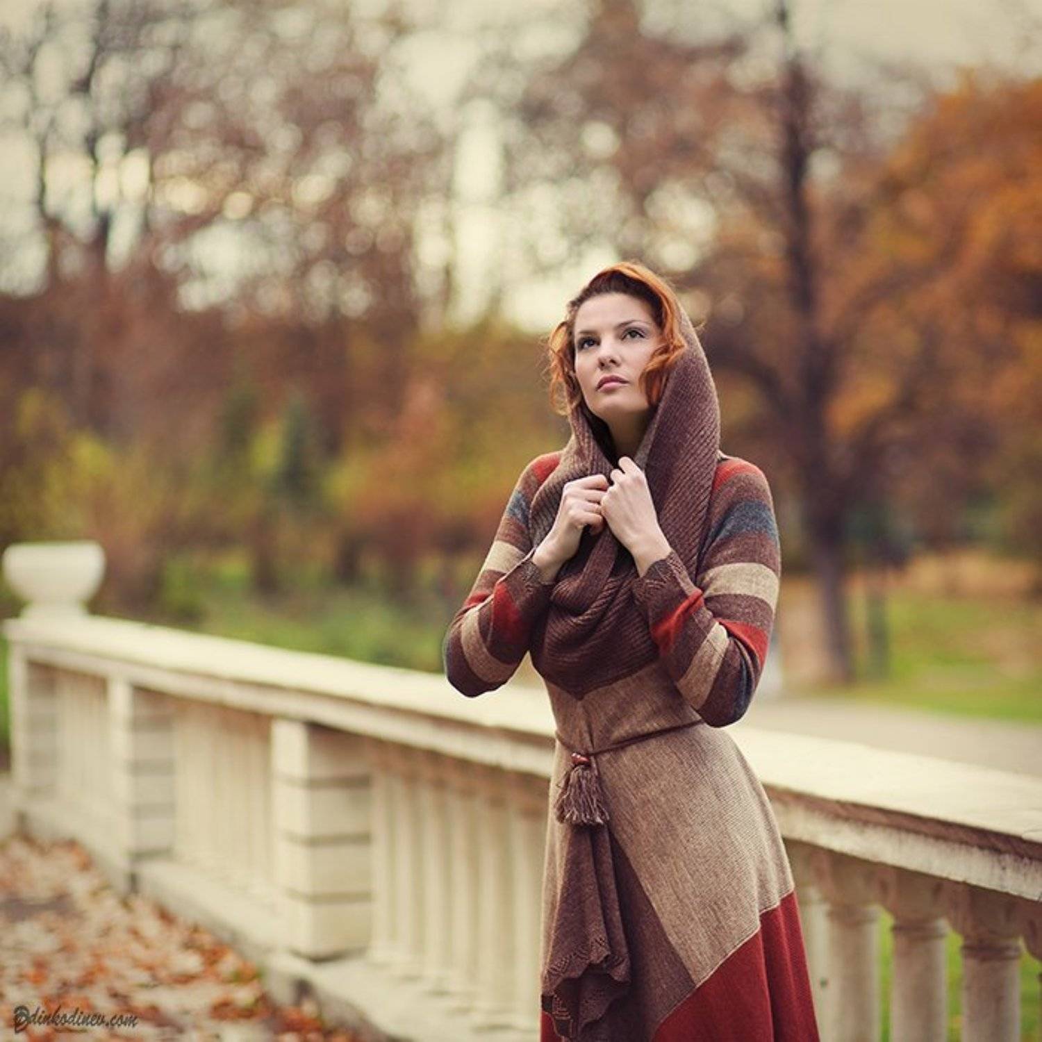 , Динко Динев