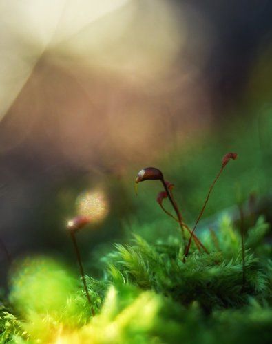 Бальные танцы...