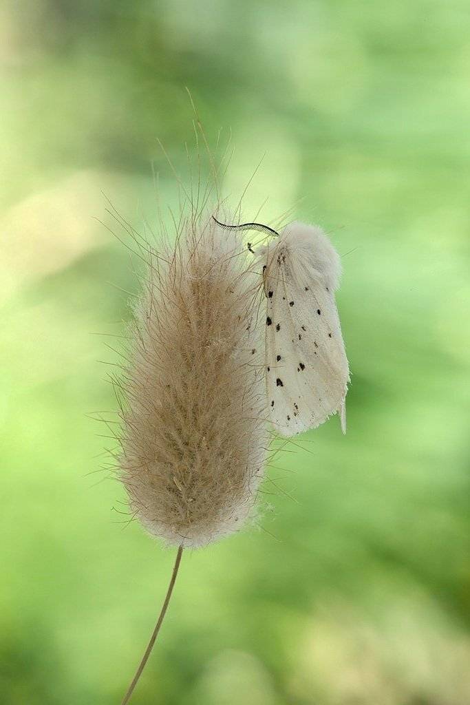 , Сергей Таланов