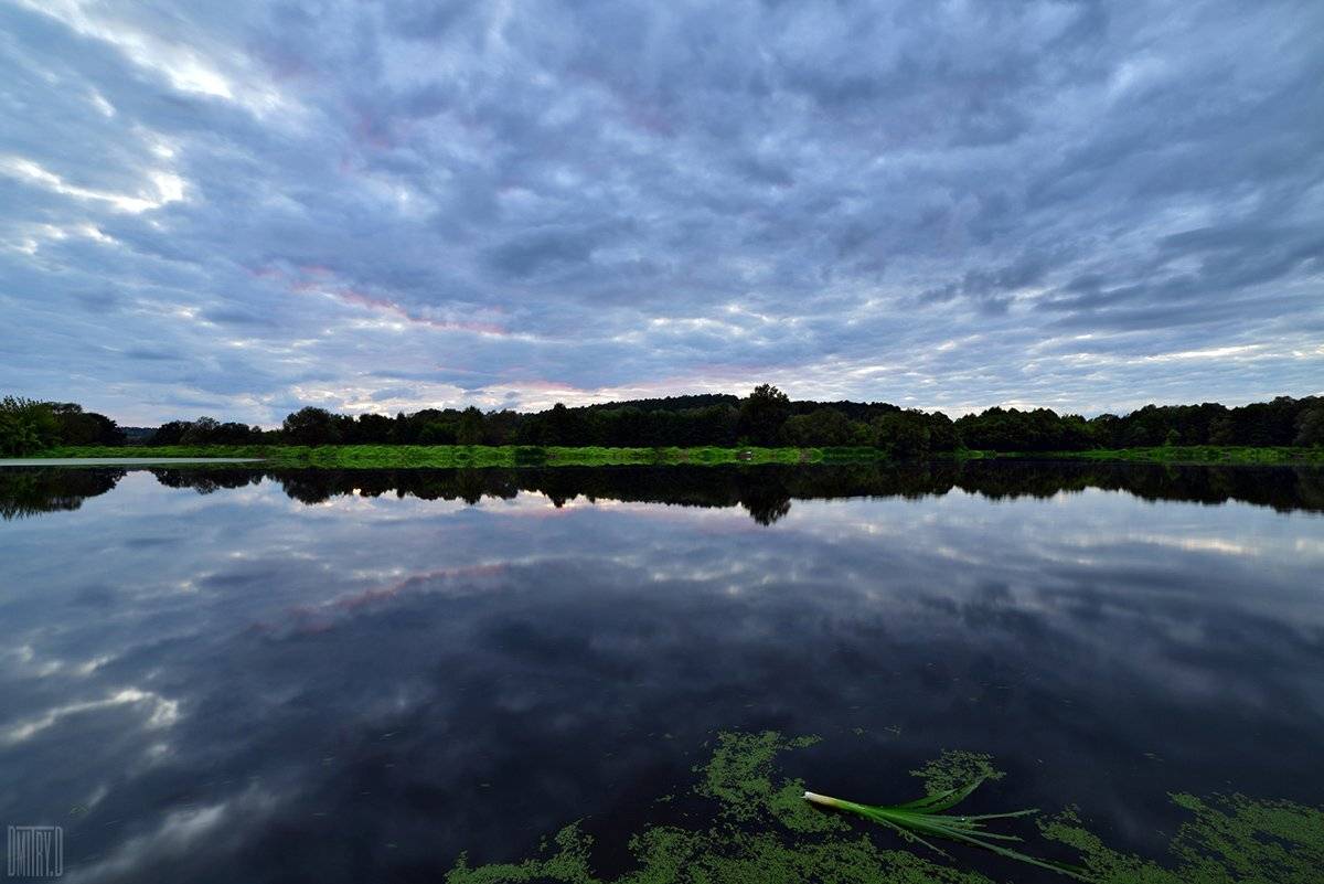 , Дмитрий Доронин