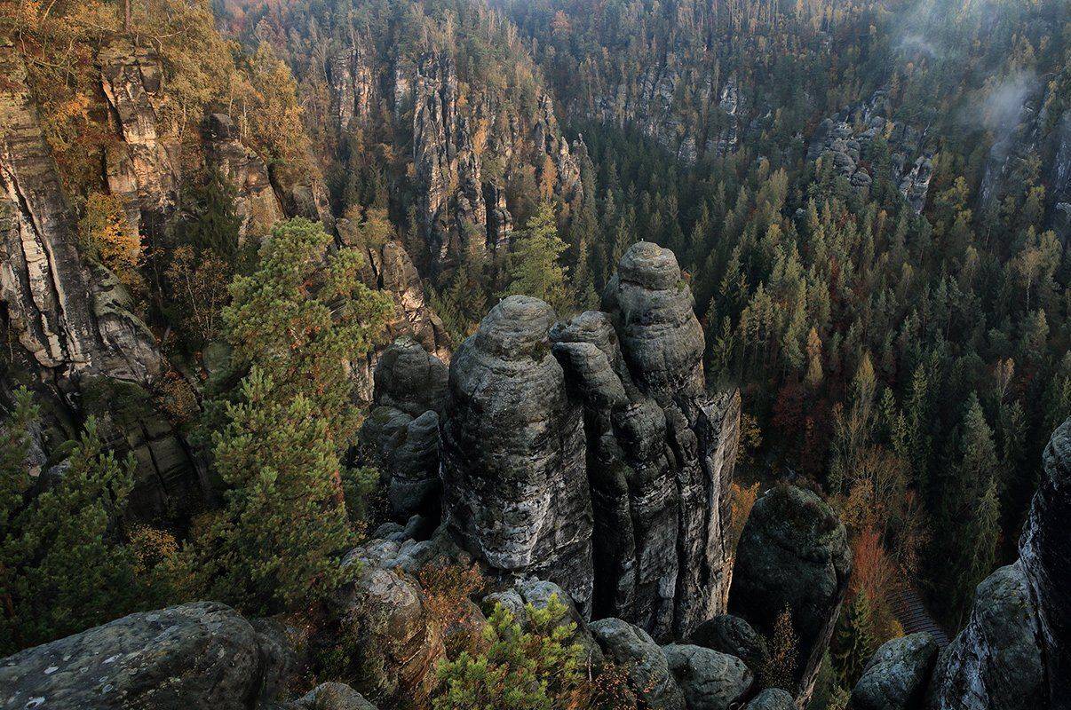 , Игорь Дубровский