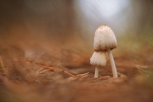 Не отпускай меня… Пожалуйста… Прошу...