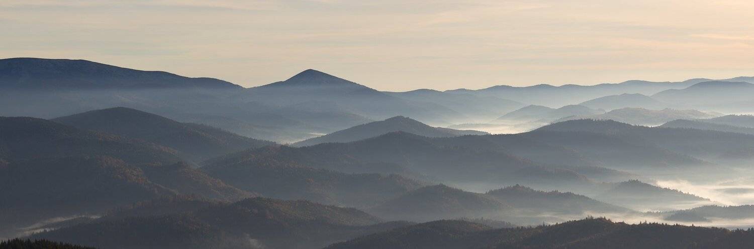 , Александр Подрез