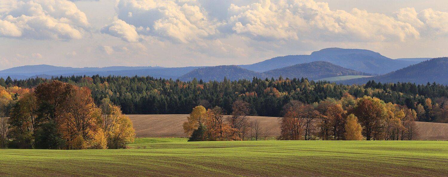 , Игорь Дубровский