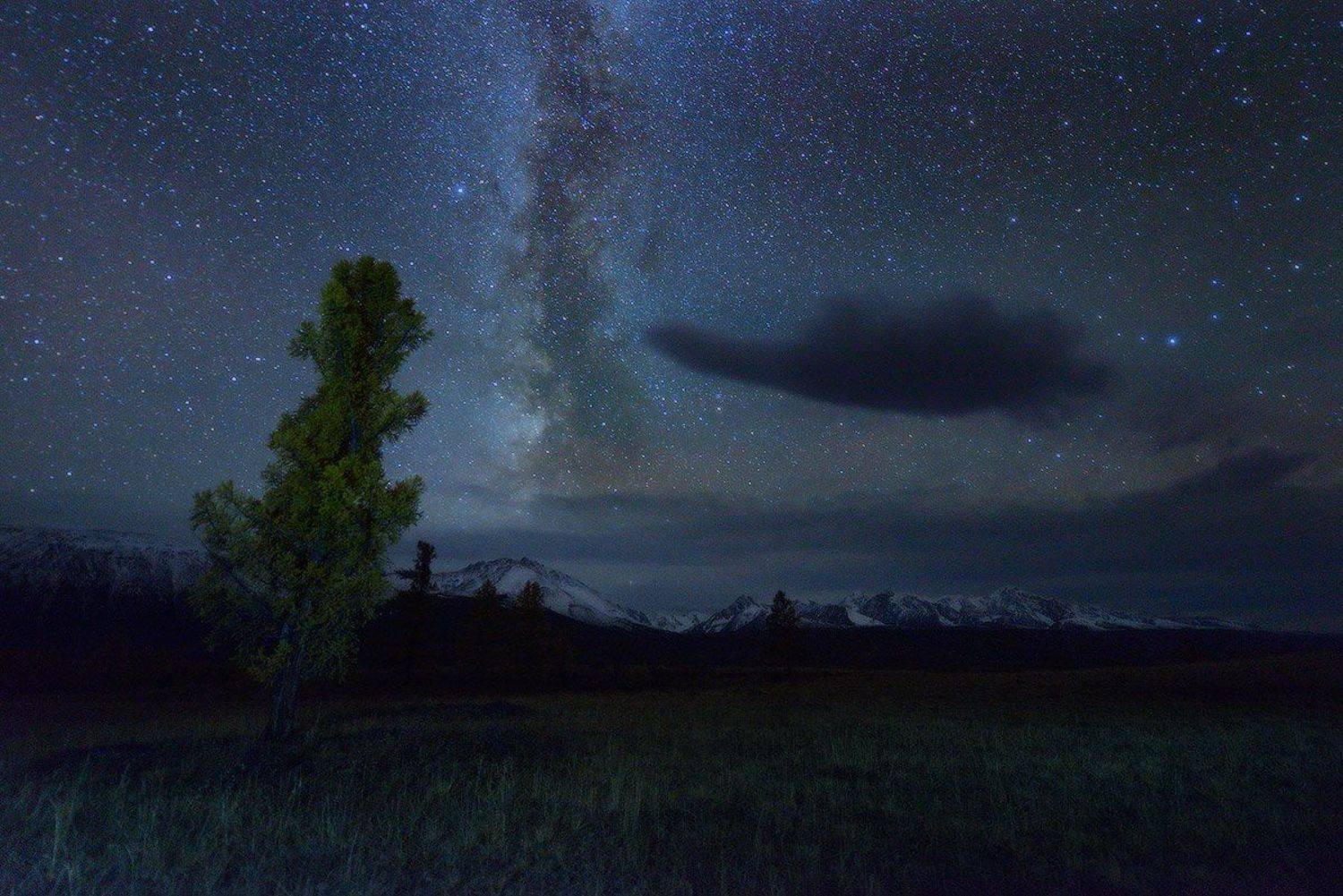 , Евгений Мартов