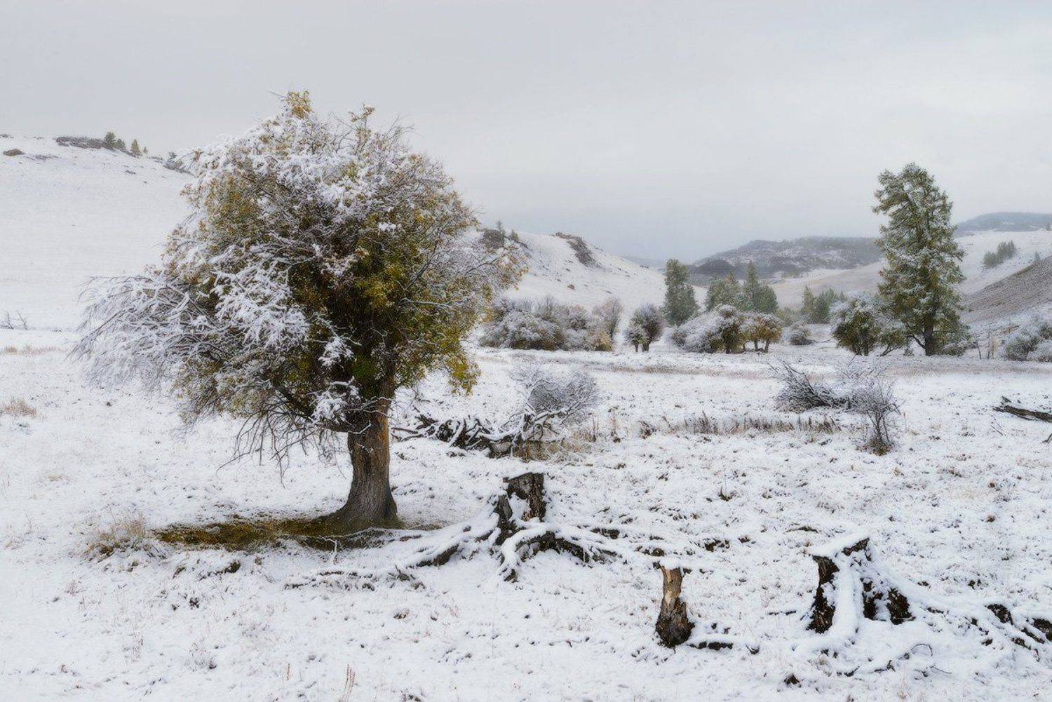 , Евгений Мартов