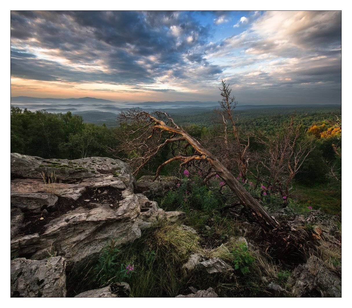 , Владимир Ляпин
