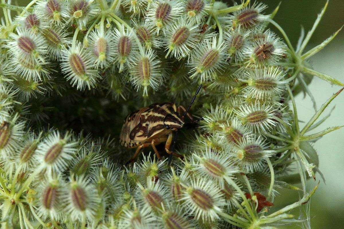 , Сергей Кузнецов