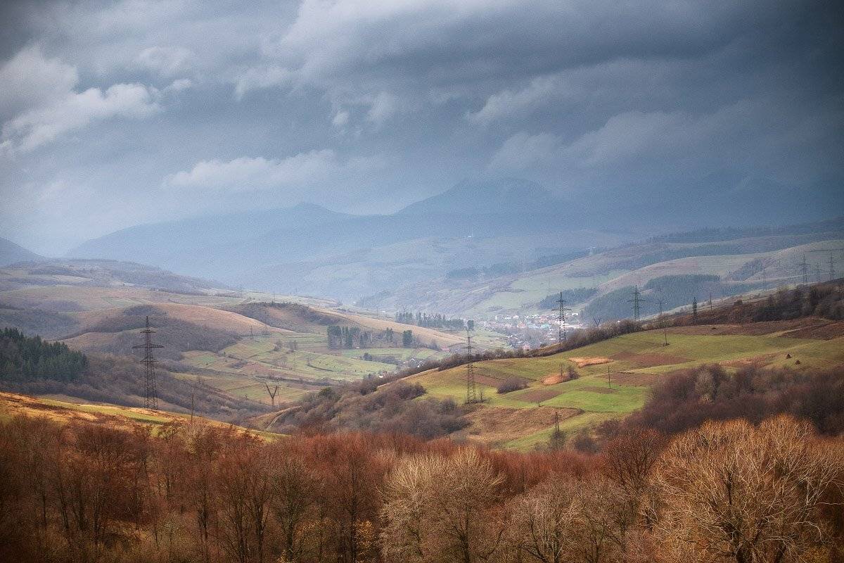 , Вейзе Максим