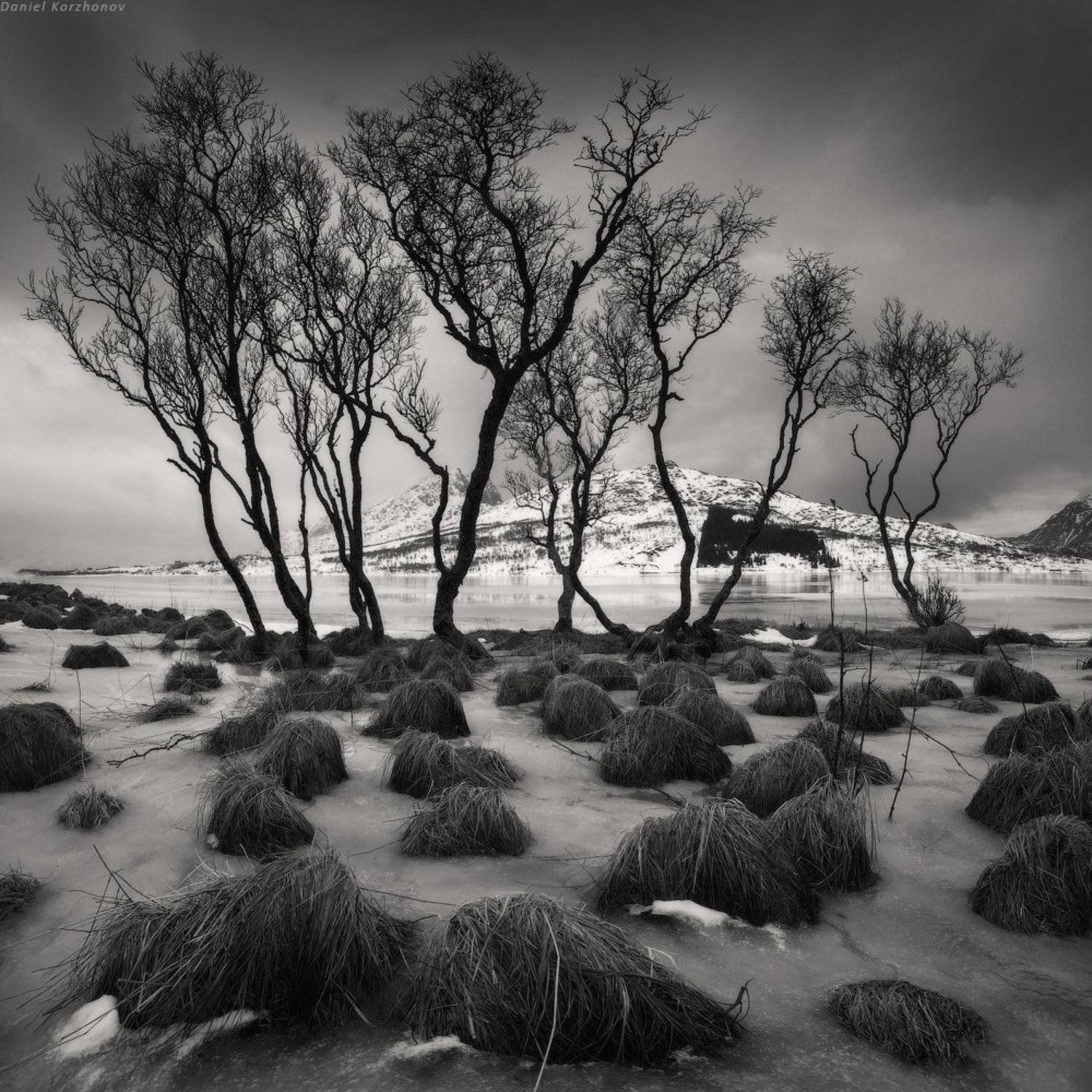 , Даниил Коржонов