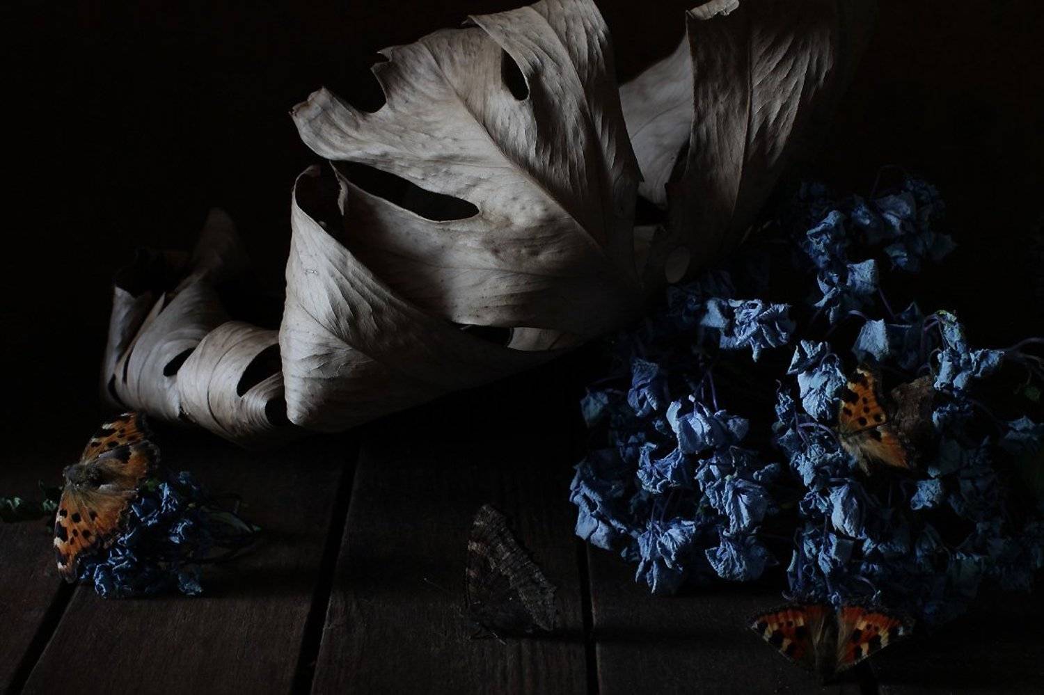 натюрморт, цветы, Svetlana Ра