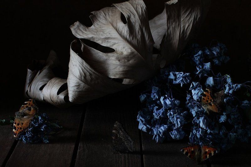 натюрморт, цветы Придет день фото превью