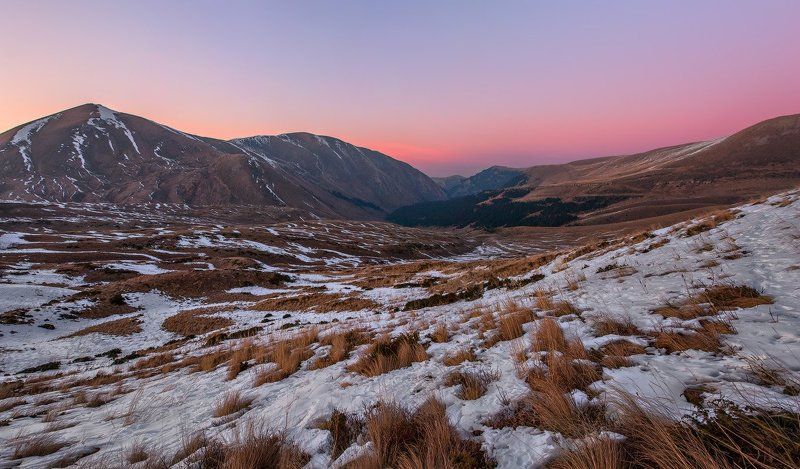 Я смотрю на Олега, а Олег смотрит на меня фото превью