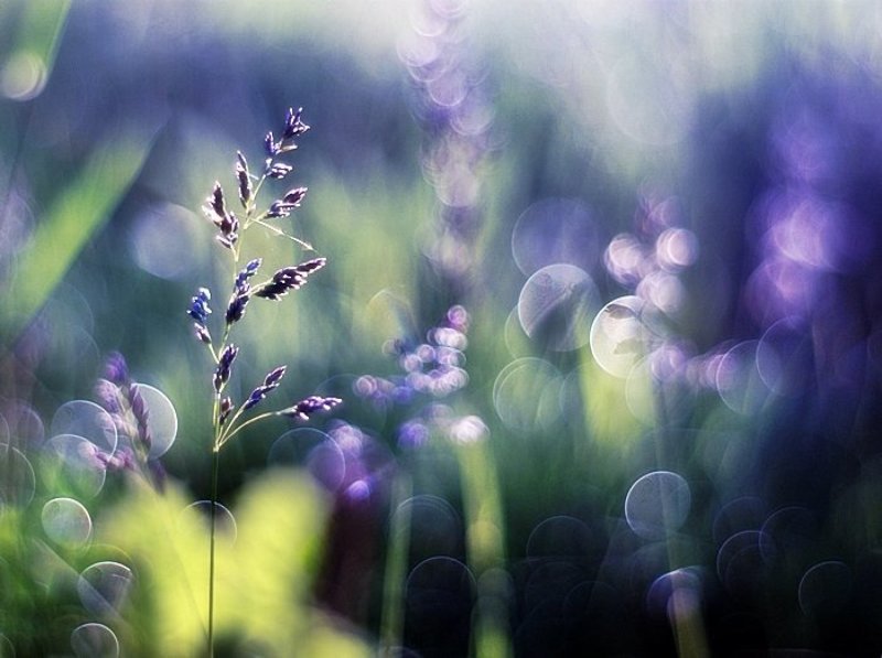 ... фото превью