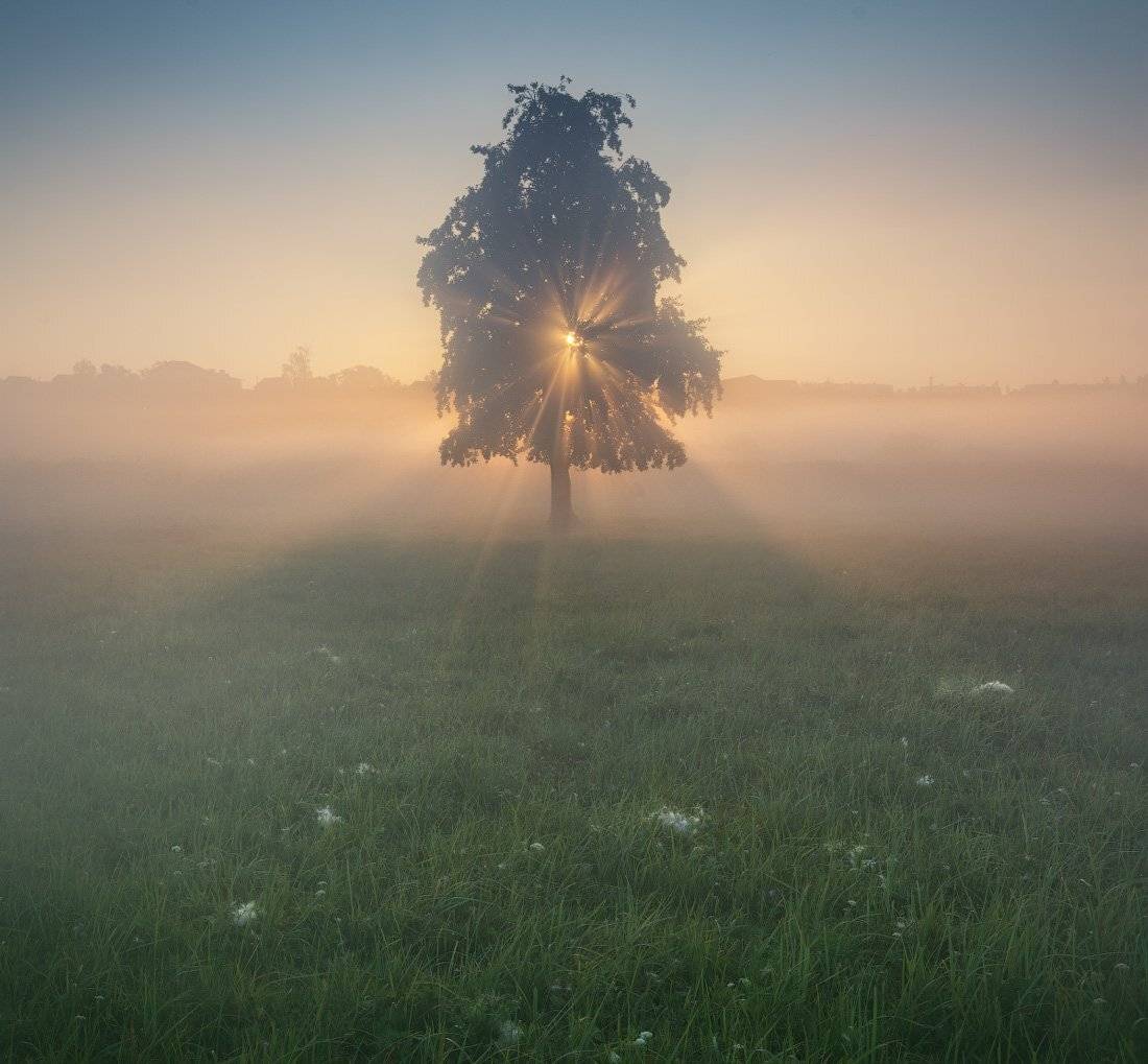 , Жмак Евгений