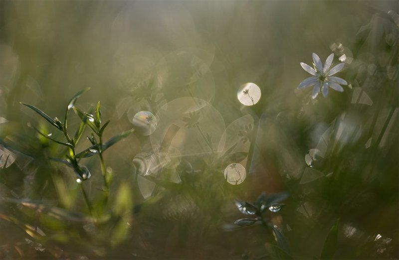Миражи поздней осени... фото превью
