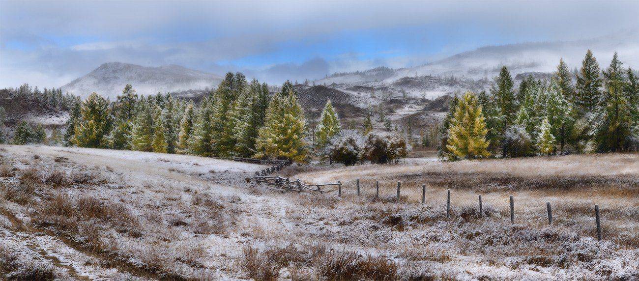 , Евгений Мартов