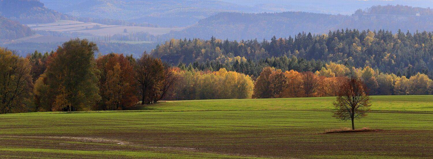 , Игорь Дубровский