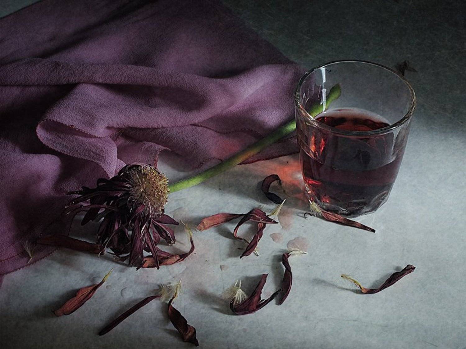 Гербера, Натюрморт, Этюд, LudmilaNG