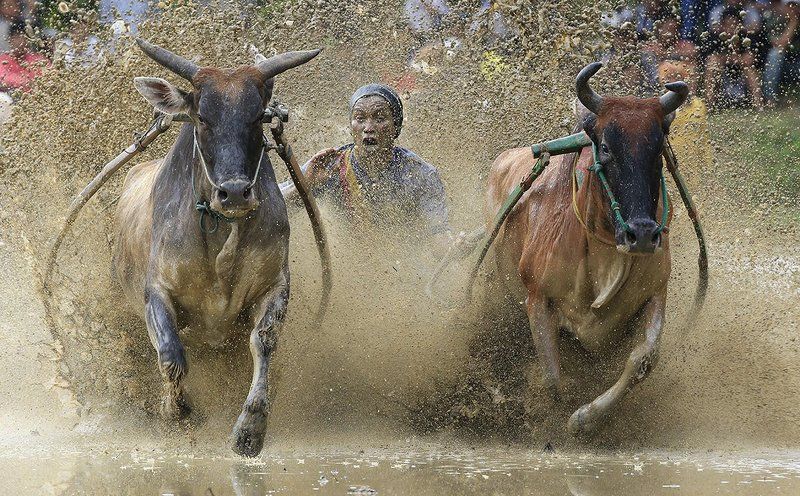 OUT OF LIMIT фото превью