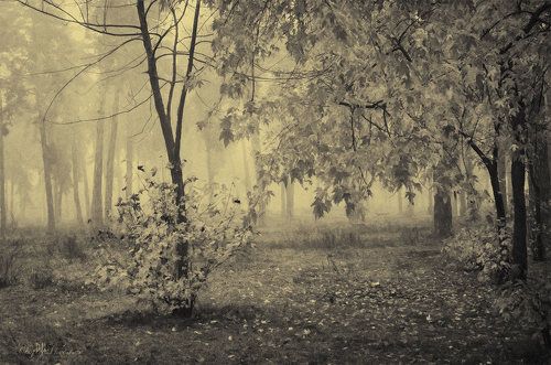 Нецветная осень