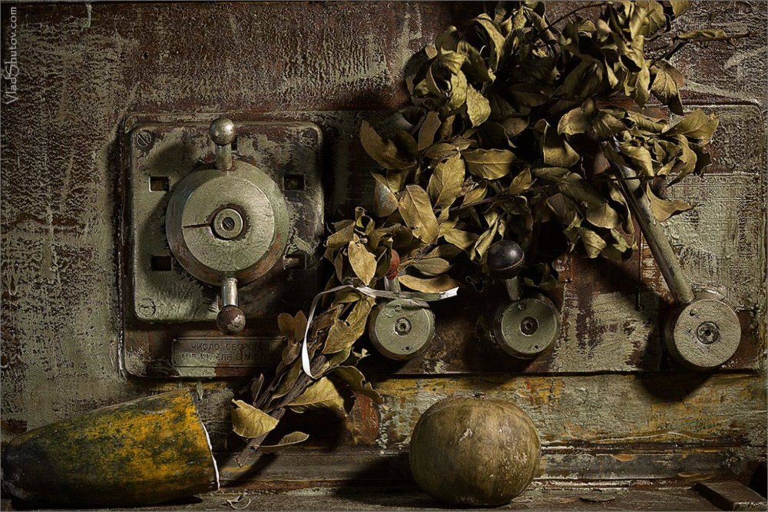 , Влад Шутов