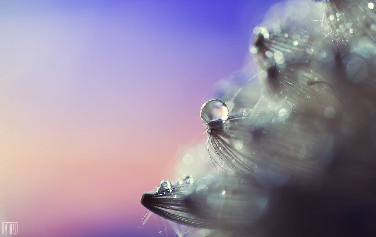 , Дмитрий Доронин