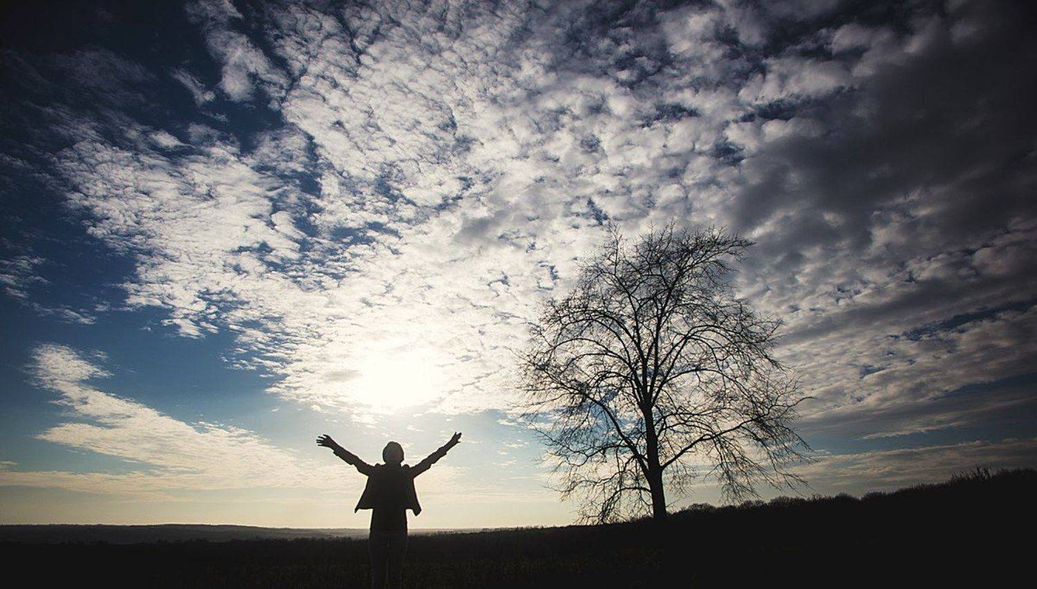 , Борисенко Денис