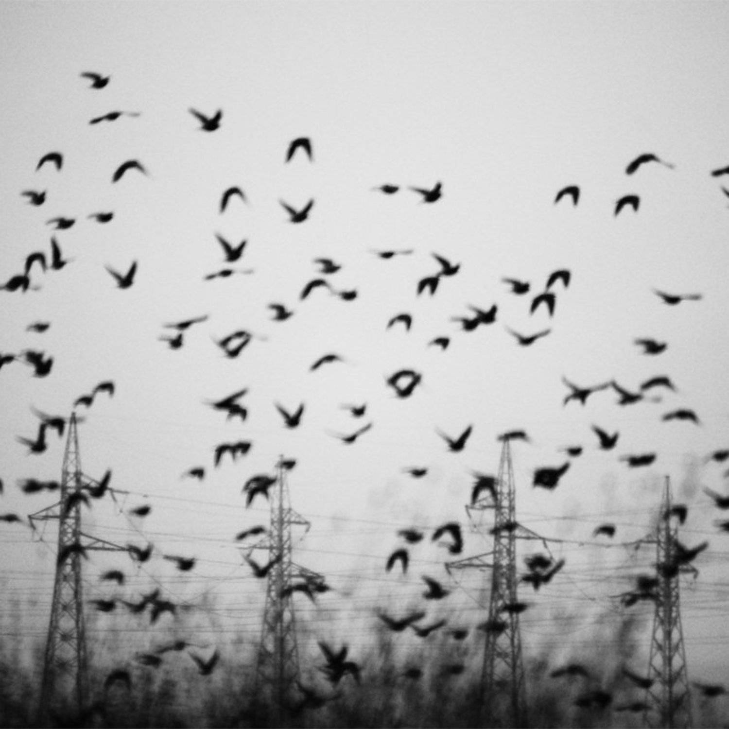 , janini (Жана Топчиева)