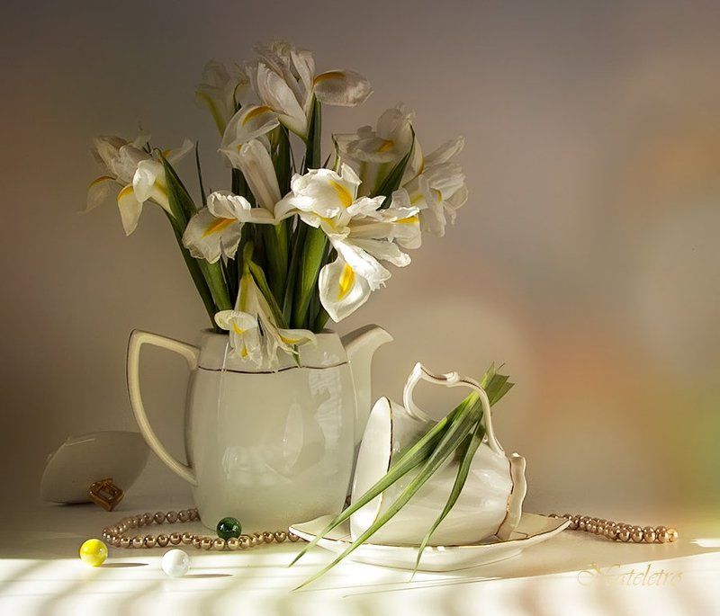 ~***~ фото превью