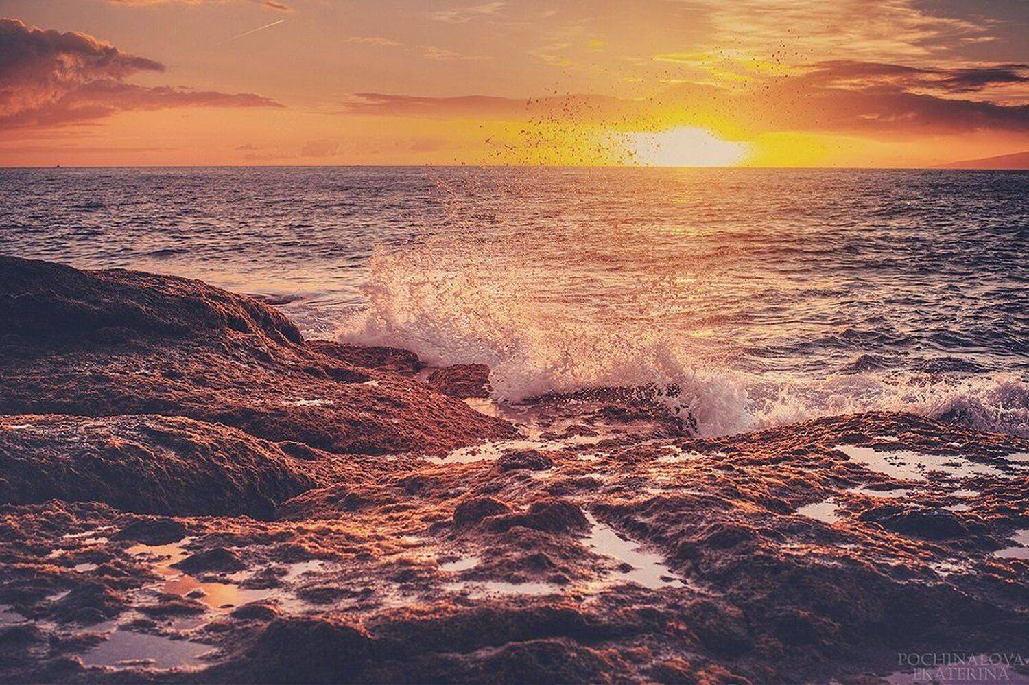 , Екатерина