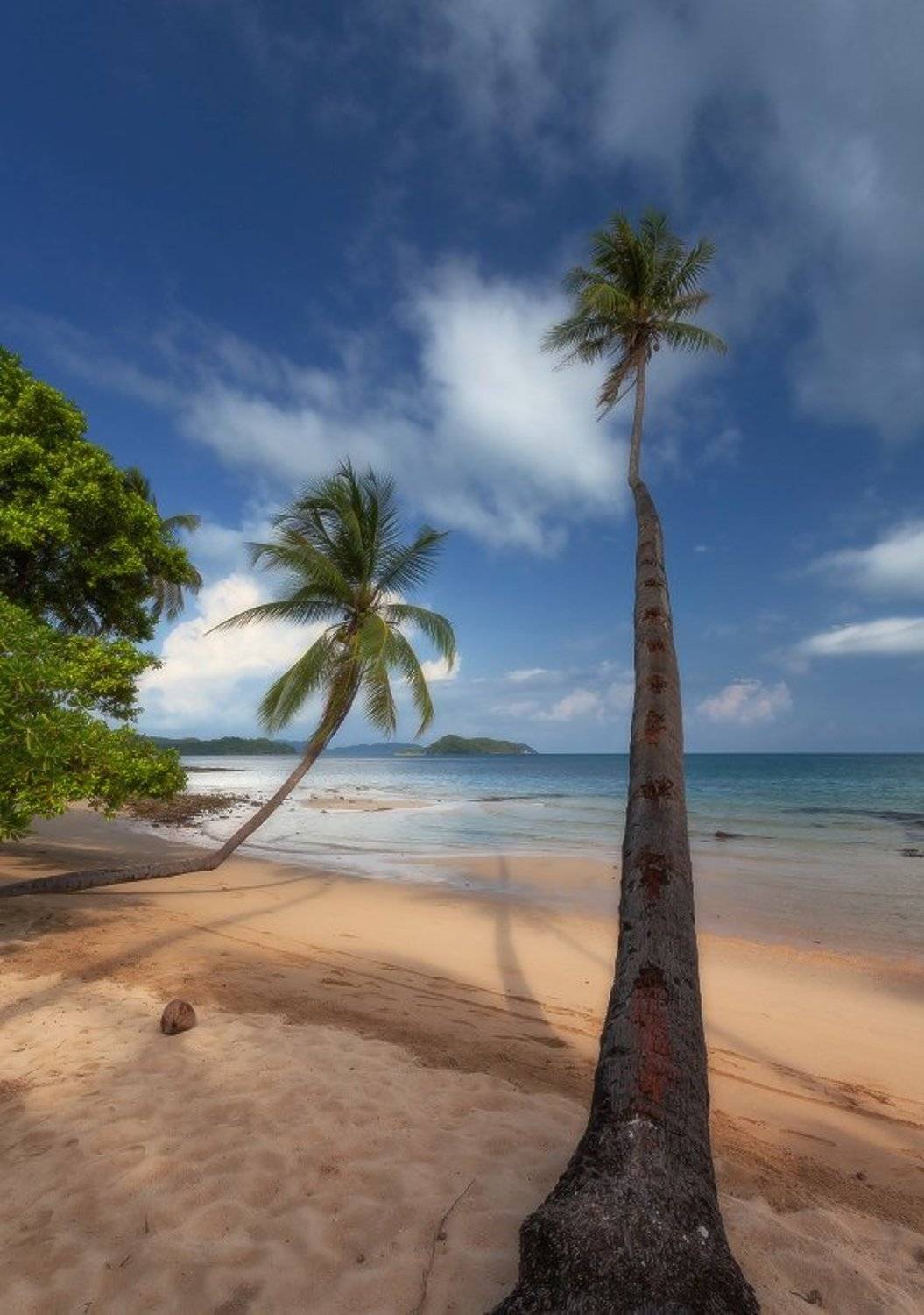 берег, песок, кокос, пальмы, длинные, море, острова, облака, тропики, таиланд, Георгий Машковцев