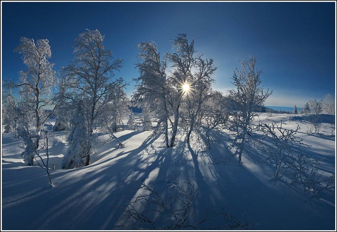 , Лихарев Александр