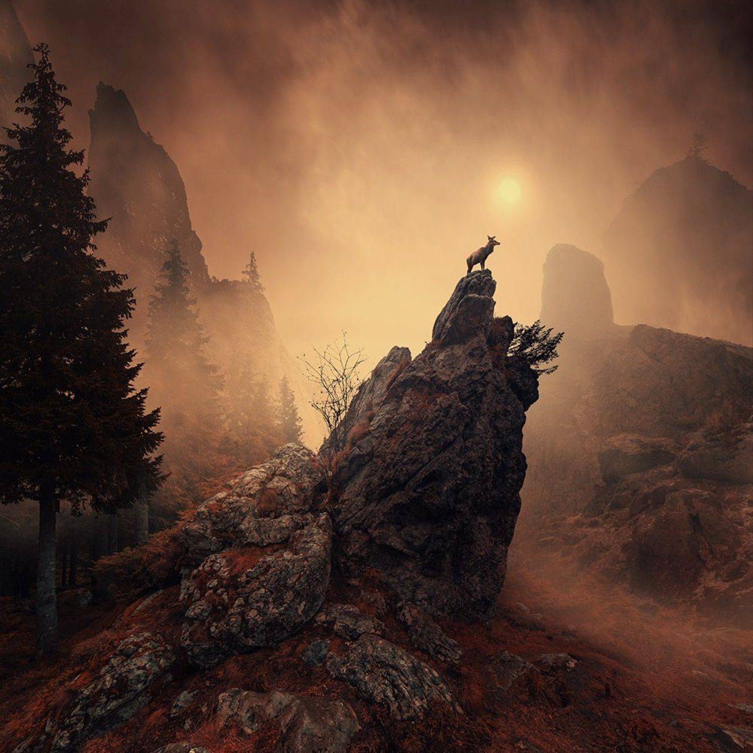 bride, child, clouds, dove, feather, fly, fog, manipulation, mist, mystery, ocean, pier, ponton, psd, red, sleeping, smoke, stage, sunset, tutorial, water, white, wife, wood,bird, cart, crow, field, fly, forest, fountain, green, ground, grounds, light, li, Caras Ionut