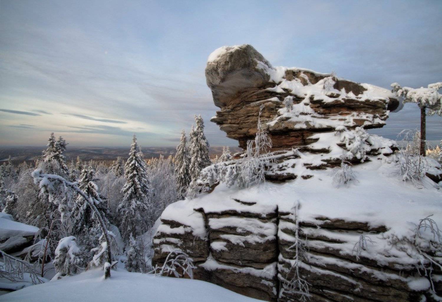 , Коровин Владимир