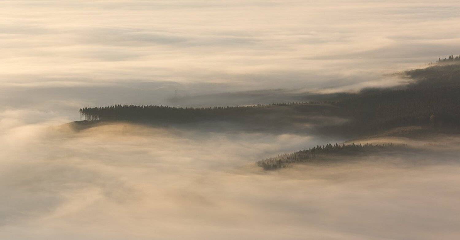 , Александр Подрез