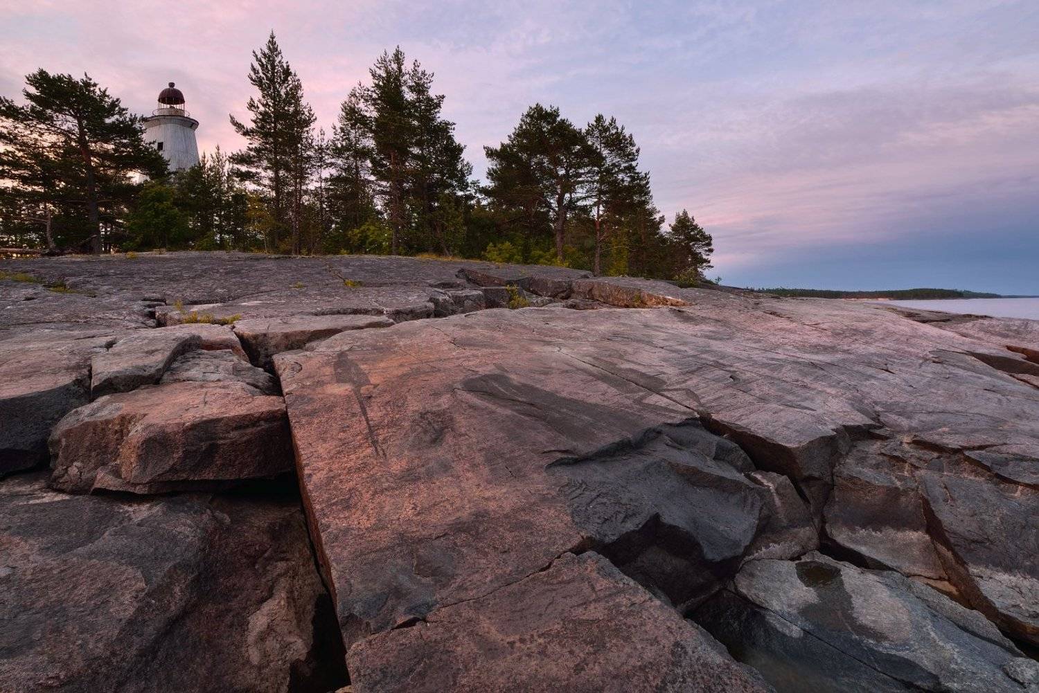 , Максим Евдокимов